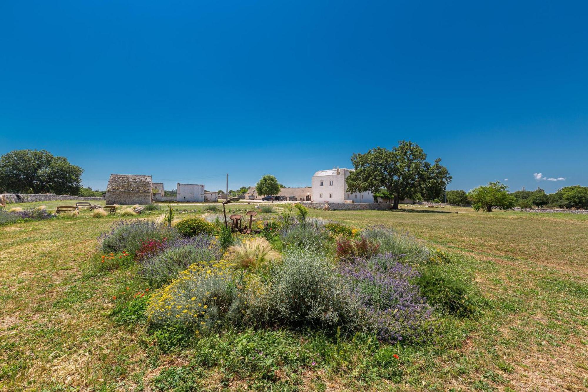 Masseria Nicola Casavola Martina Franca Extérieur photo